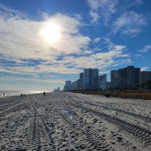 Meet your Posher, Harry